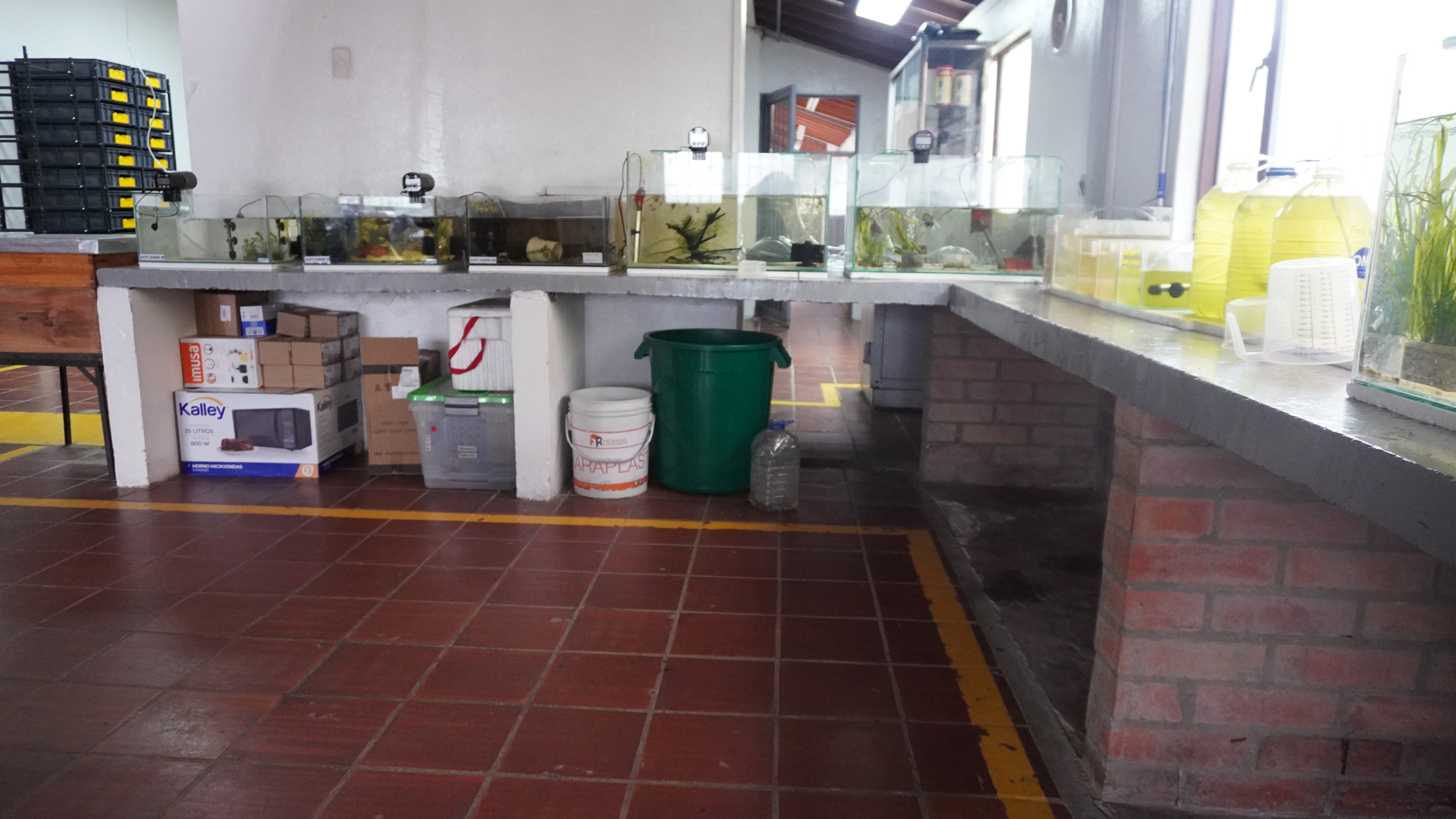 Laboratorio de Acuicultura con equipos y colmenas de abejas.